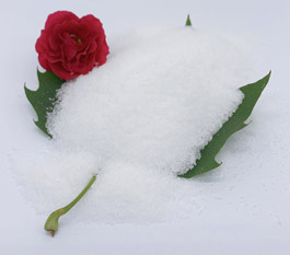 Que tipo de poliacrilamida &eacute; m&aacute;is eficaz para tratar augas residuais de lavado de coches?